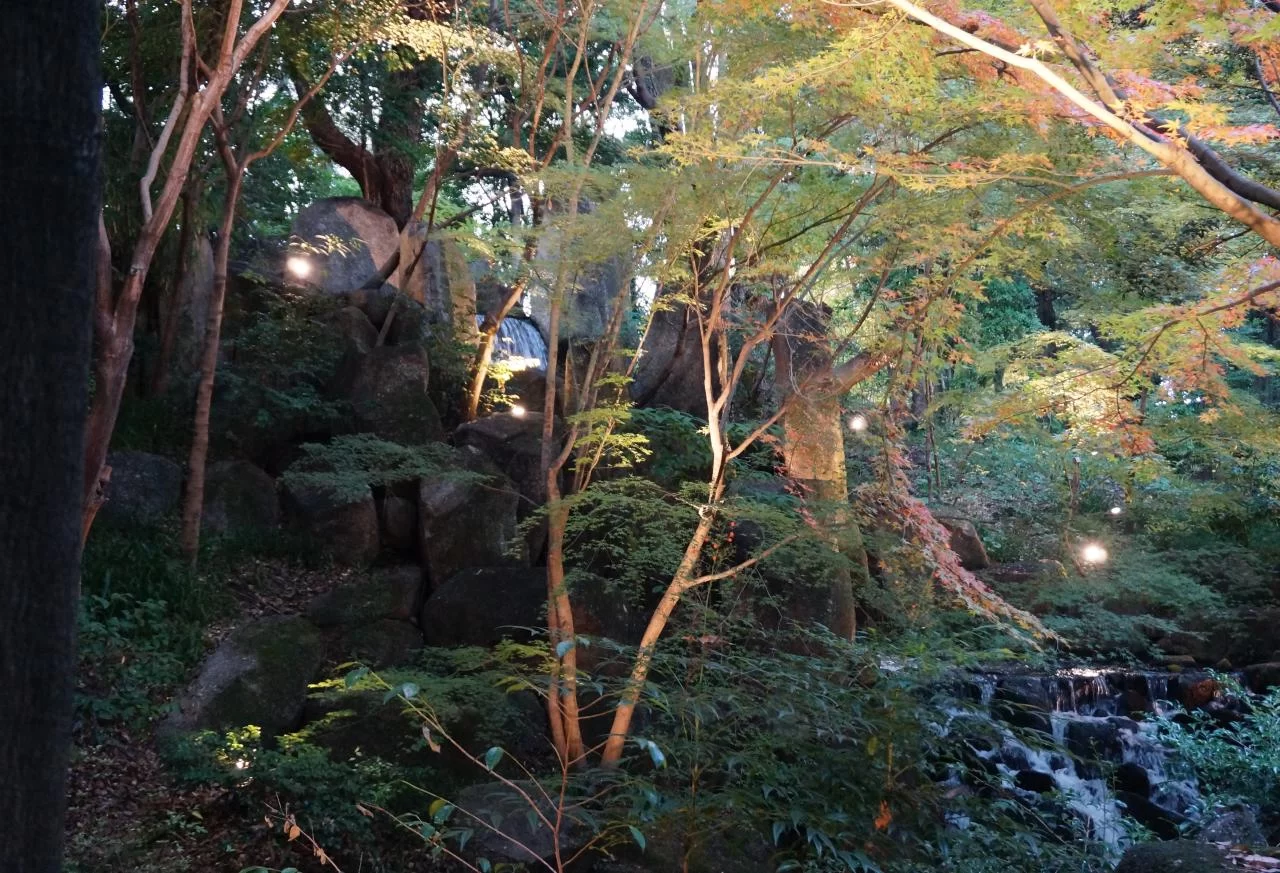 名古屋市内紅葉名所、『　徳川園　』へ行ってみた