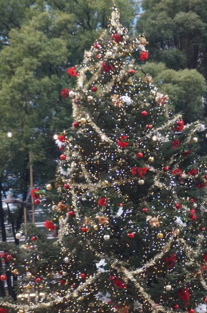 2024 クリスマス エディオン久屋広場 エディオン久屋広場<br>NAGOYA Christmas Market 2024|Ordinary Life