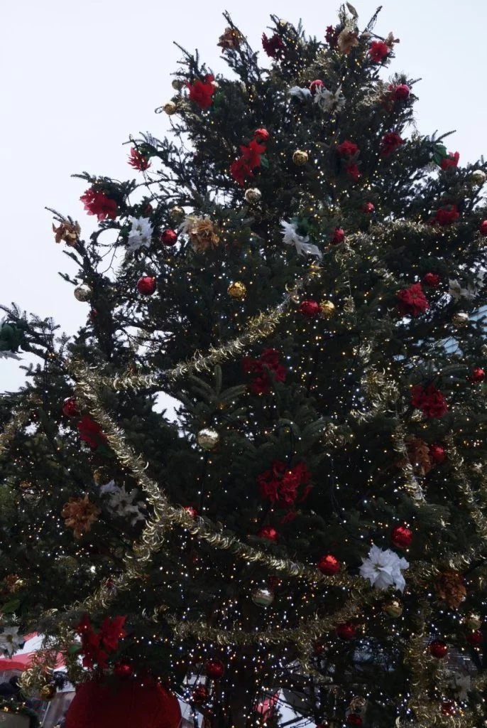 2024 クリスマス エディオン久屋広場 エディオン久屋広場<br>NAGOYA Christmas Market 2024|Ordinary Life