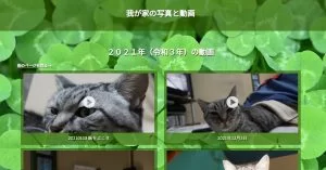 ようやく動画のセルフホスト化が終了したと思ったら.. ようやく動画のセルフホスト化が終了したと思ったら..