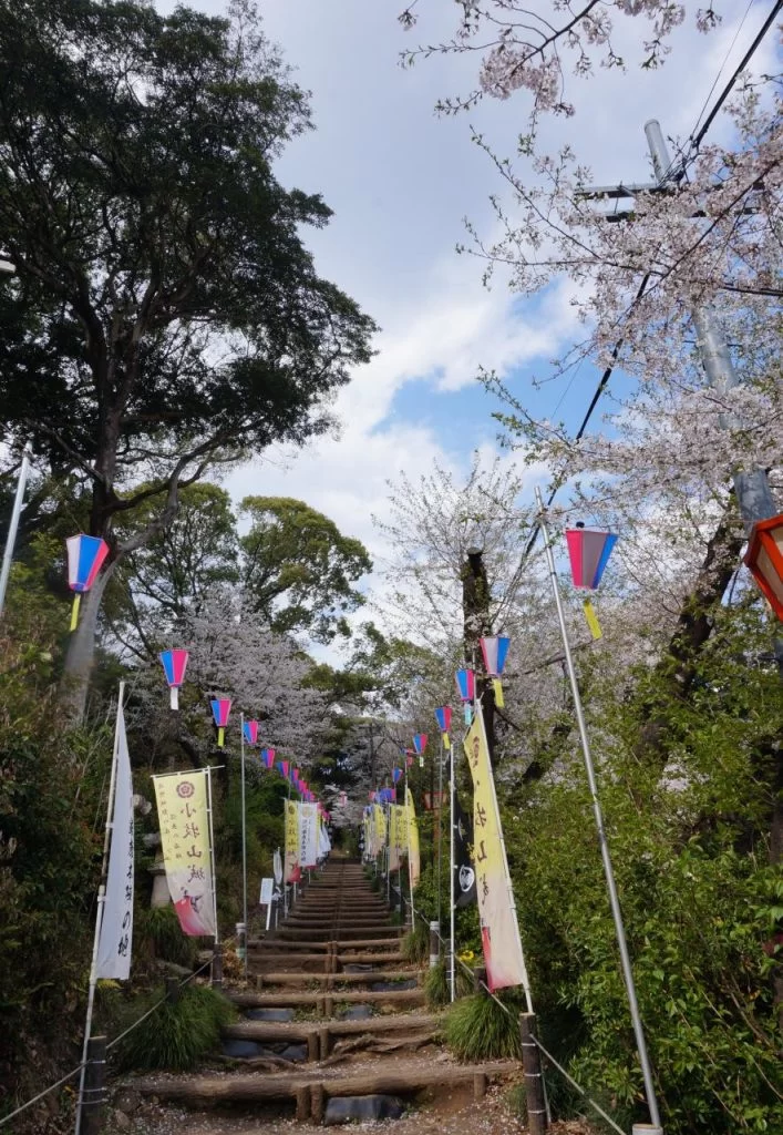 桜満開の小牧市小牧山の写真2025|Ordinary Life