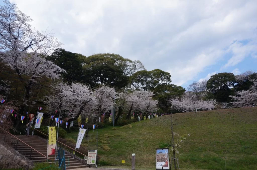 桜満開の小牧市小牧山の写真2025|Ordinary Life