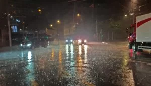 雨 雨