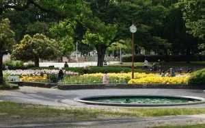 ユリ咲き誇る名古屋市千種公園