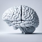 ai generated, brain, mind, technology, anatomy, medical, thinking, memory, brain, brain, brain, brain, brain, mind, technology, medical, thinking