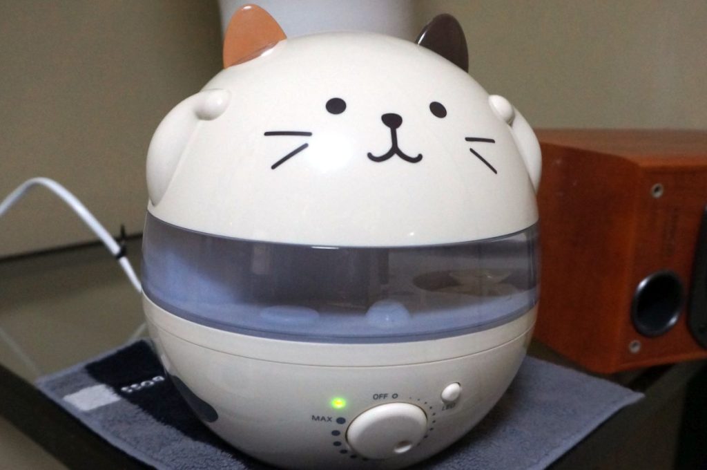 Ordinary Life 2025:11:22 21:14:37