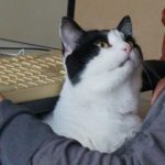 Ordinary Life&nbsp;2025:12:02 15:58:04