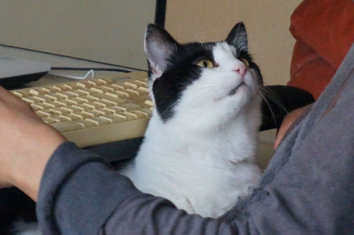 Ordinary Life&nbsp;2025:12:02 15:58:04