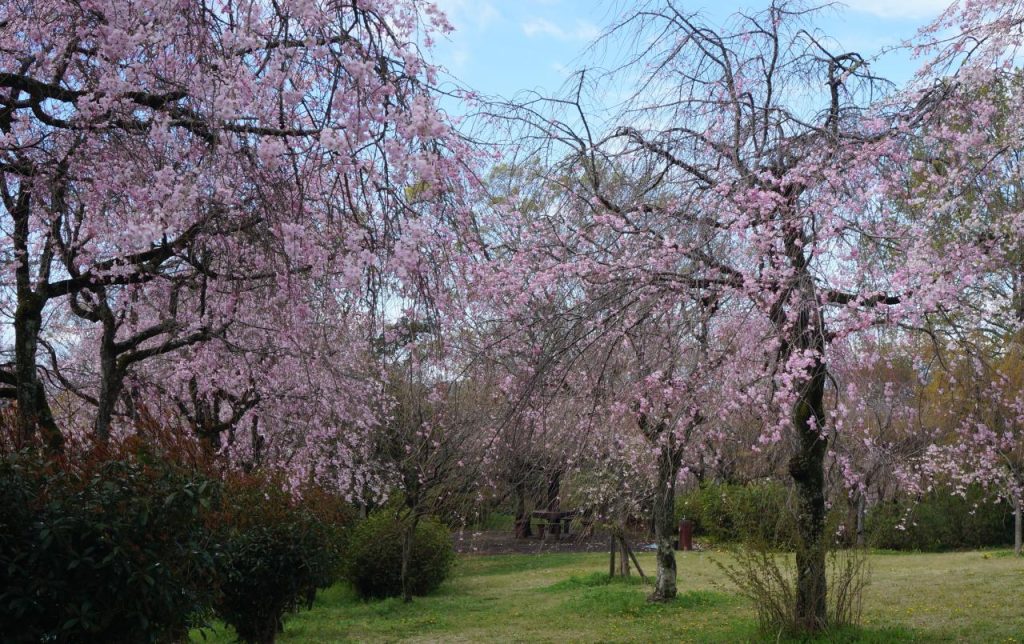 Ordinary Life Ordinary Life