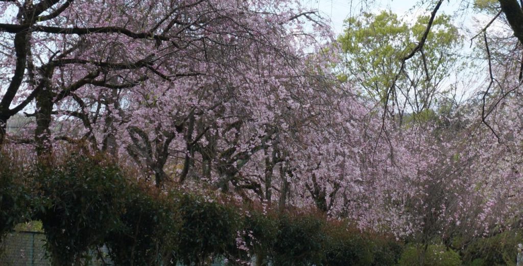 Ordinary Life Ordinary Life