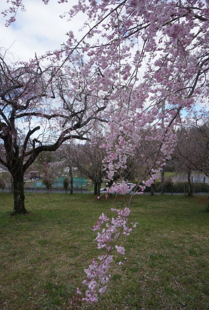 Ordinary Life Ordinary Life