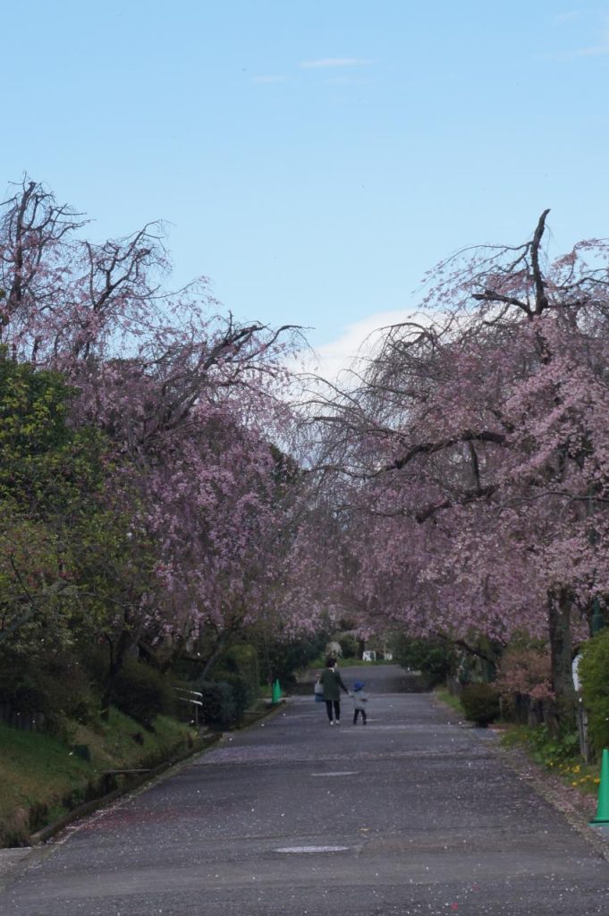 Ordinary Life Ordinary Life