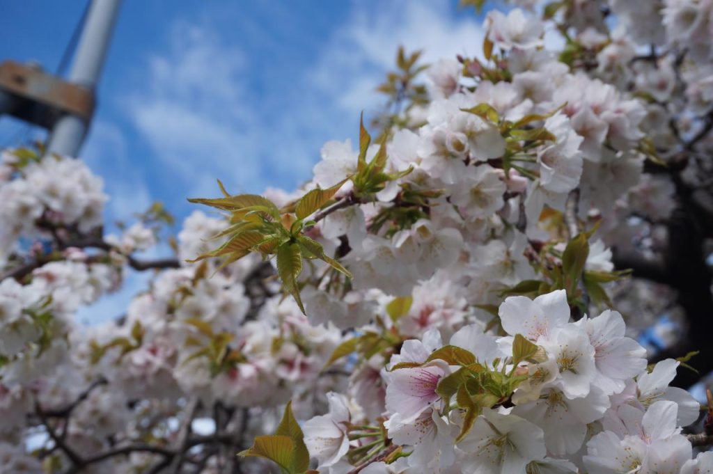 Ordinary Life Ordinary Life